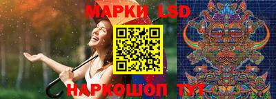 стаф Сланцы