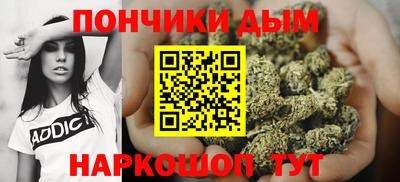 стаф Сланцы
