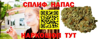 стаф Сланцы