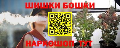 стаф Сланцы