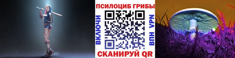 Галлюциногенные грибы мухоморы OMG онион Углич