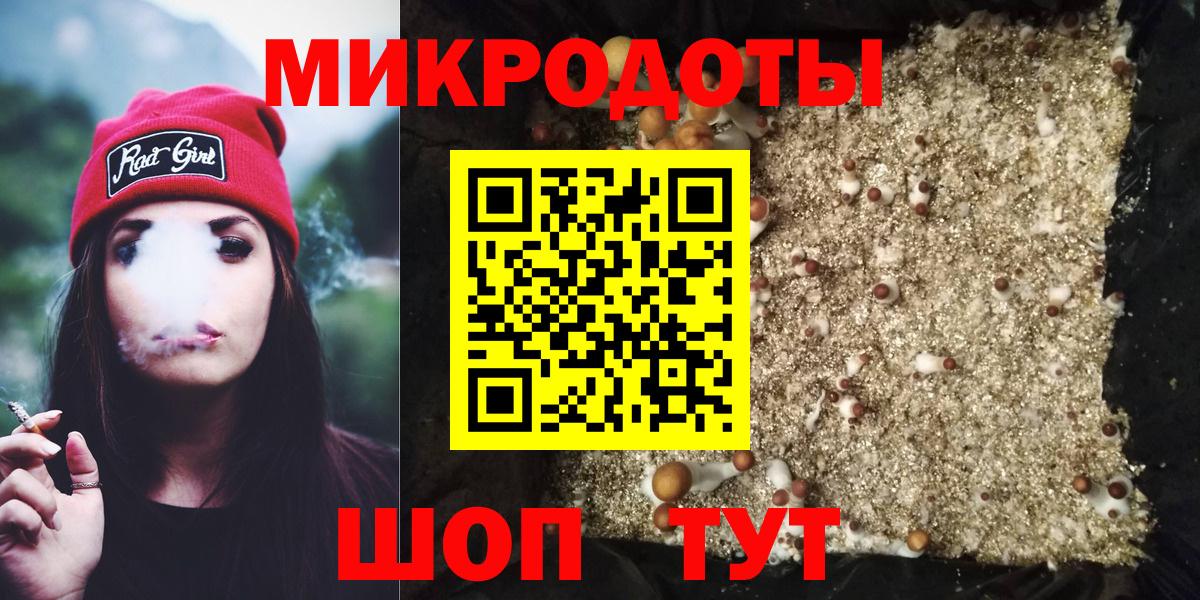 Псилоцибиновые грибы Psilocybe Углич